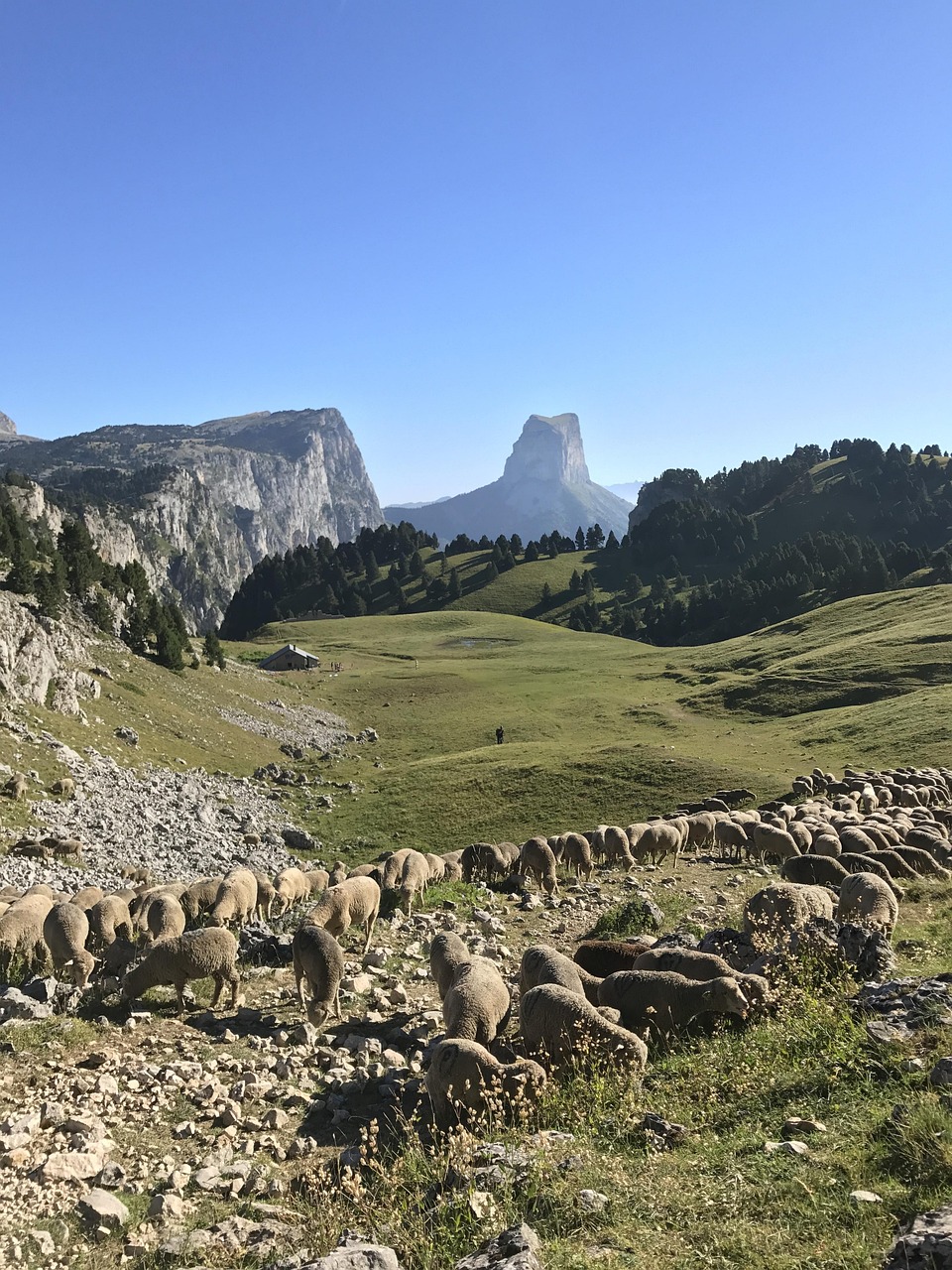 LE VERCORS - GRANDEUR NATURE