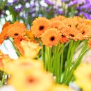 Blumen