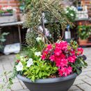 Blumentopf