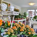 Innenraum mit Blumen 2