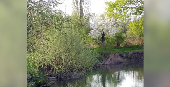 Restaurant Le Clos Alexi à Wettolsheim au bord de l'eau