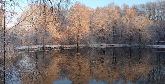 Le Clos Alexi à Wettolsheim - Restaurants