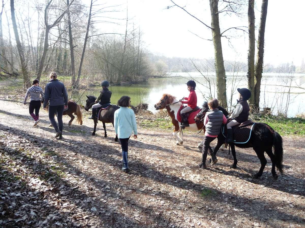 Les Ecuries Du Val De L Eure