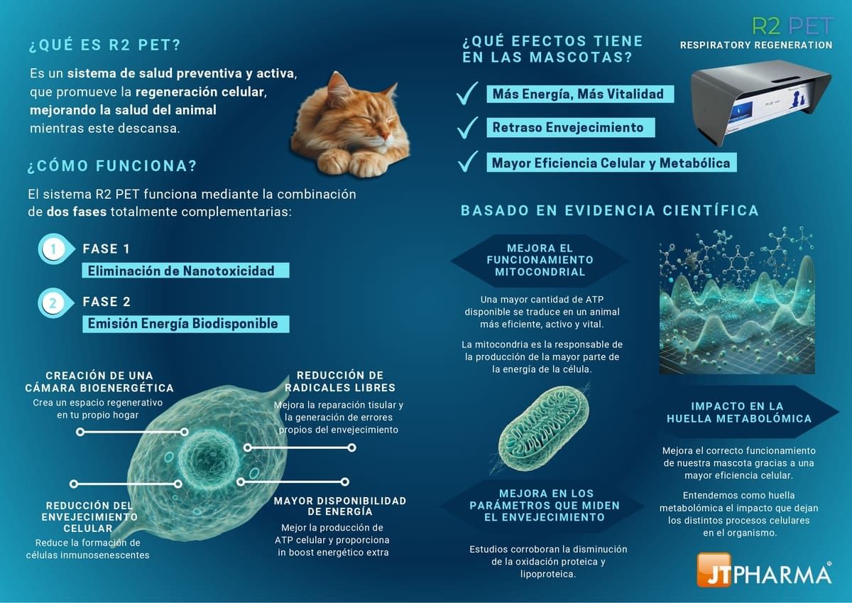 Transformats Vidalplast S.L. productos plasticos