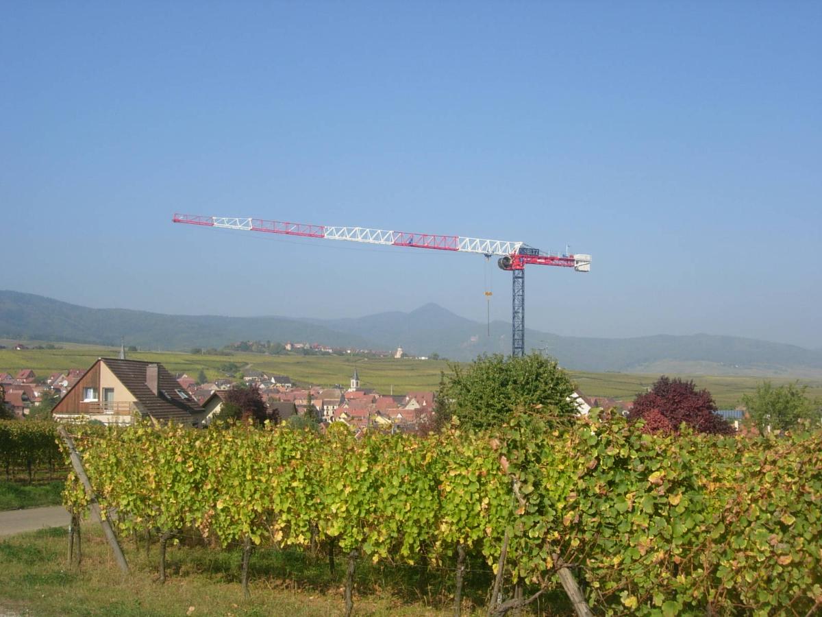 équipement grue service strasbour