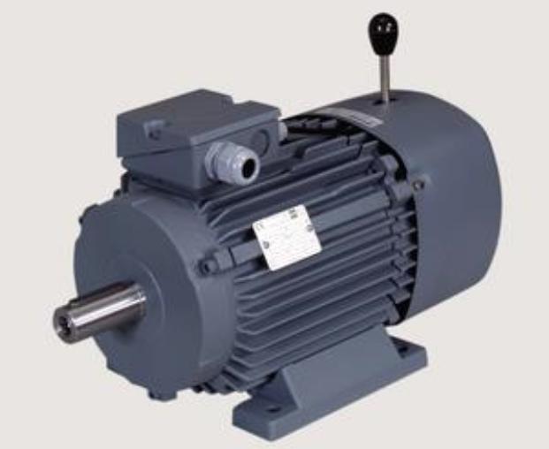 Moteur-frein avec déverrouillage manuel