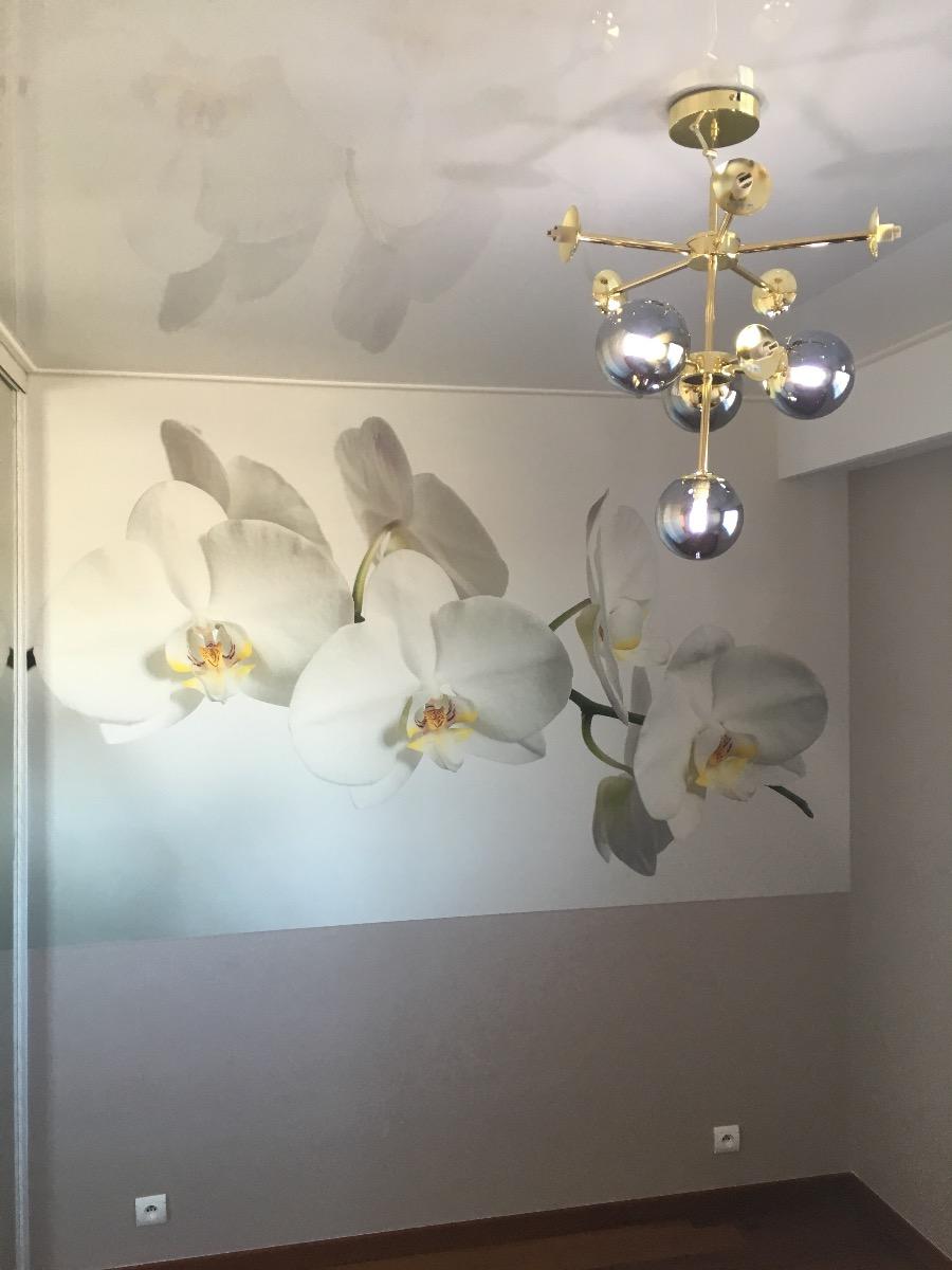 PANORAMIQUE ET PLAFOND TENDU