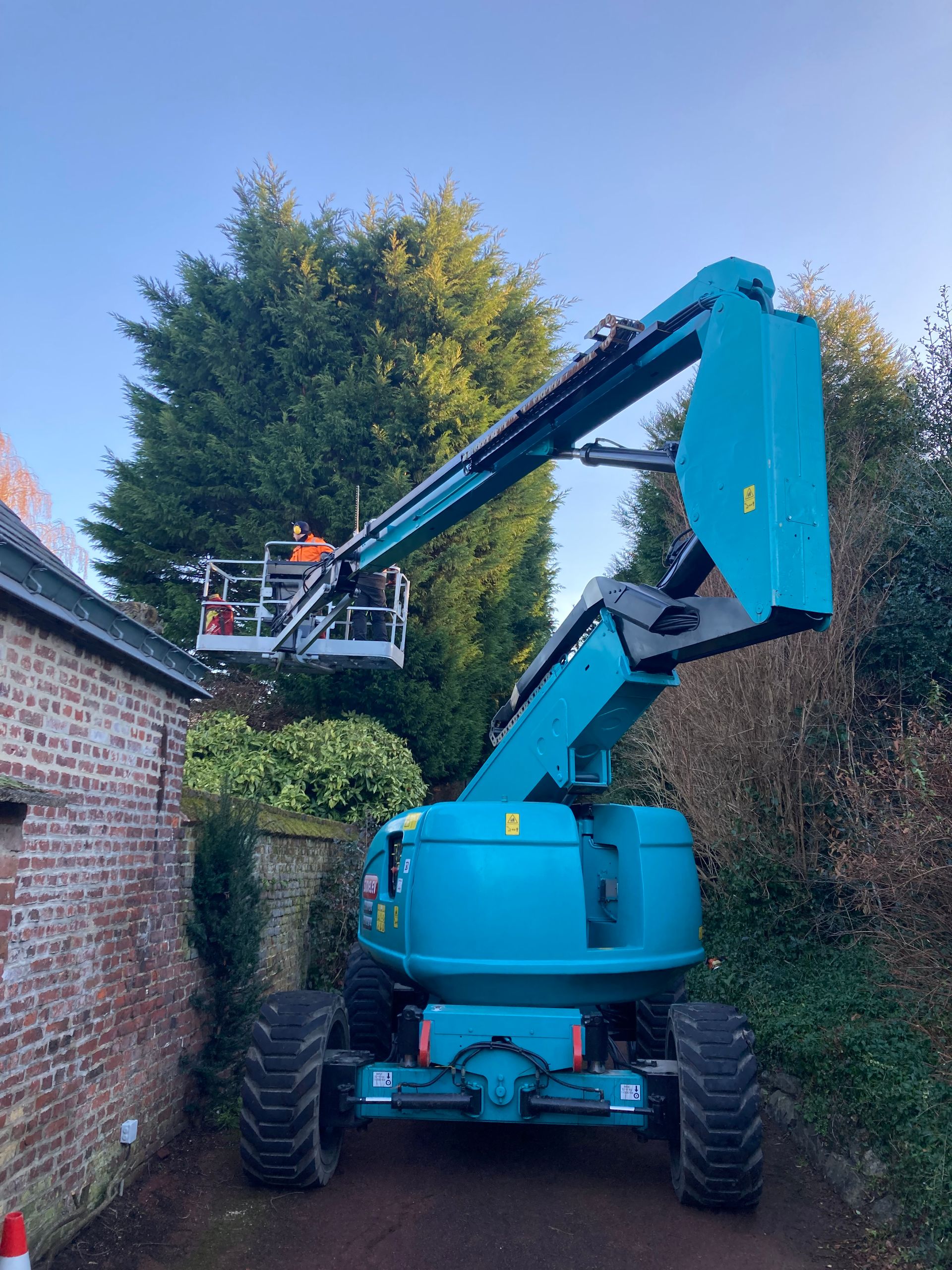 Taille de haie en cours à Wambrechies