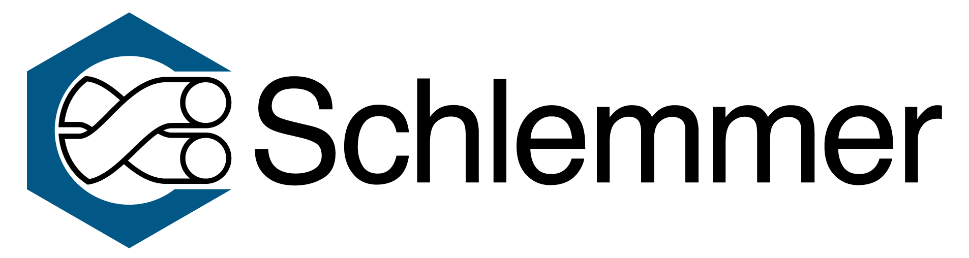logo delfingen