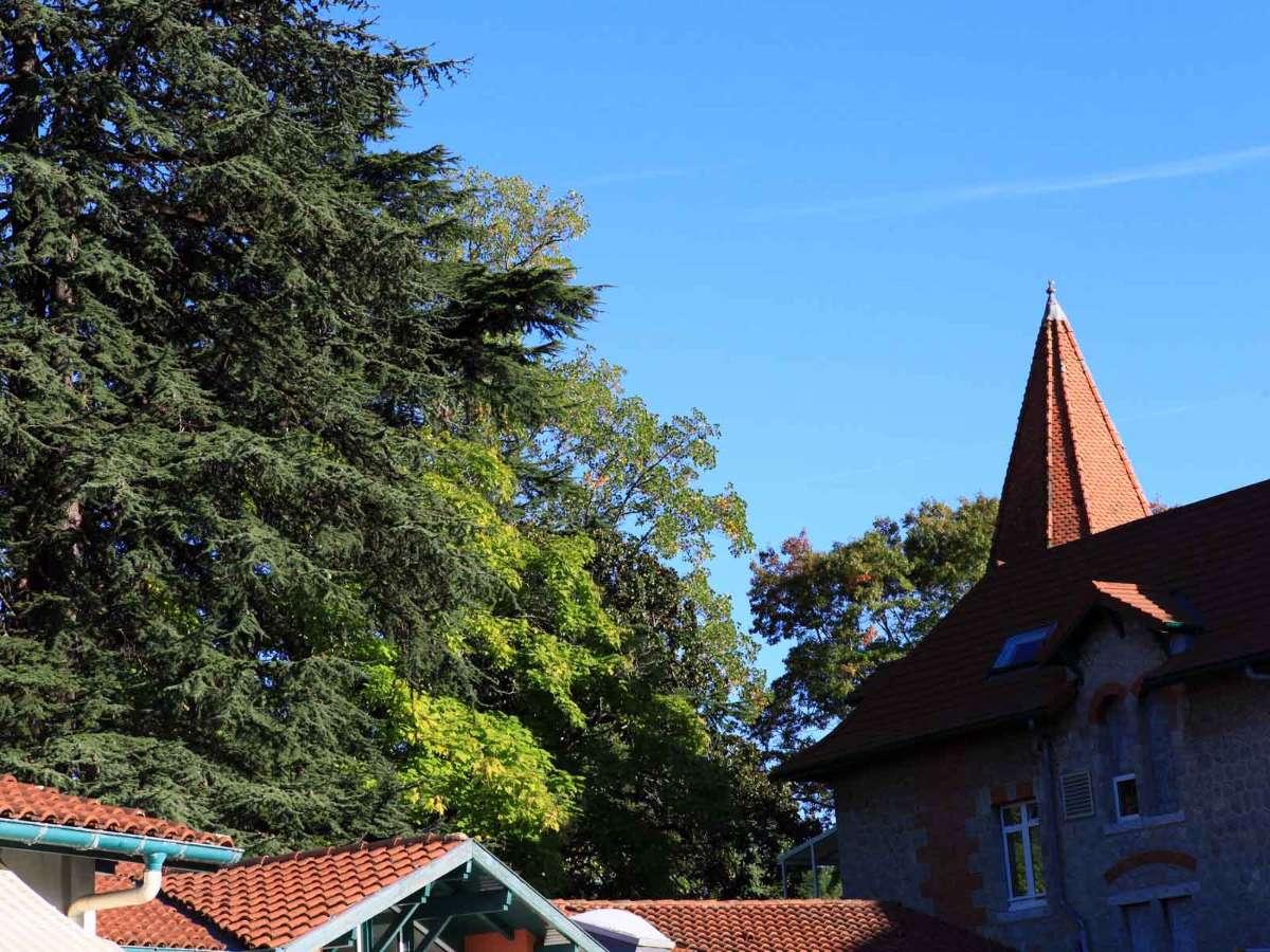 Un environnement verdoyant au centre ville de Cambo