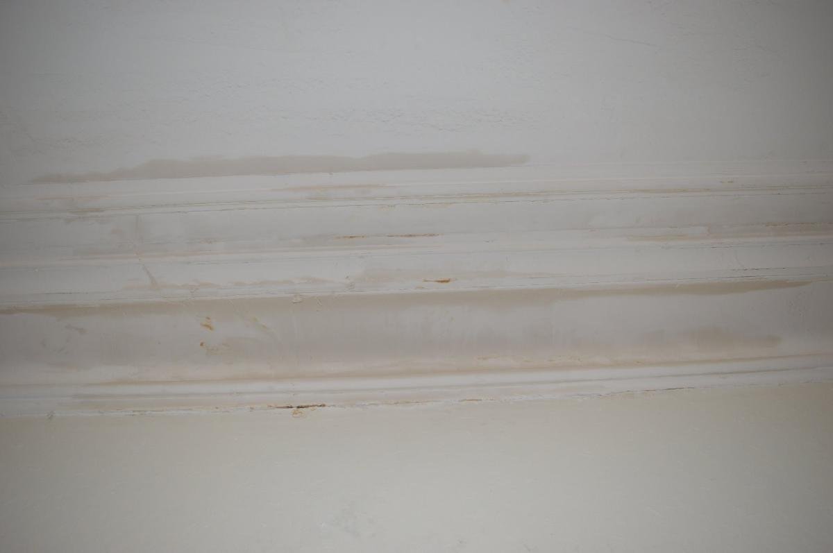 Julien Guerrinha, peinture plafonds