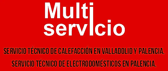 MULTISERVICIO PALENCIA