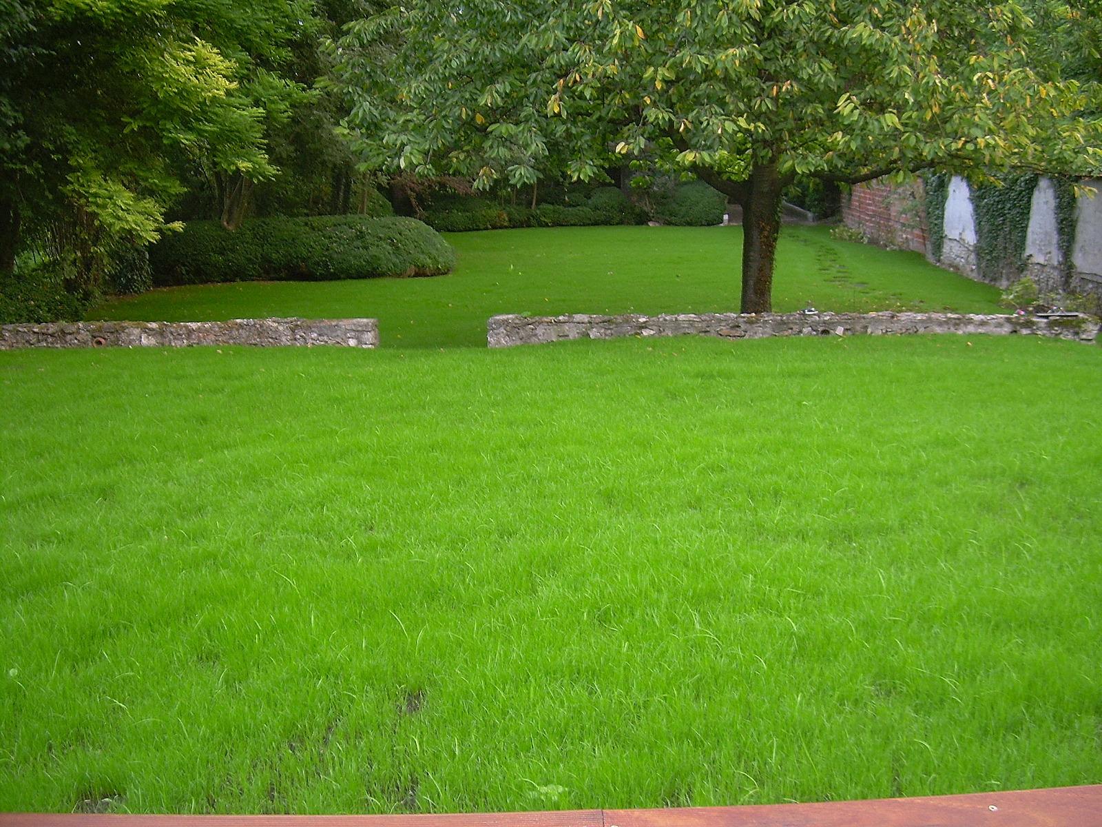 Entretien de jardins