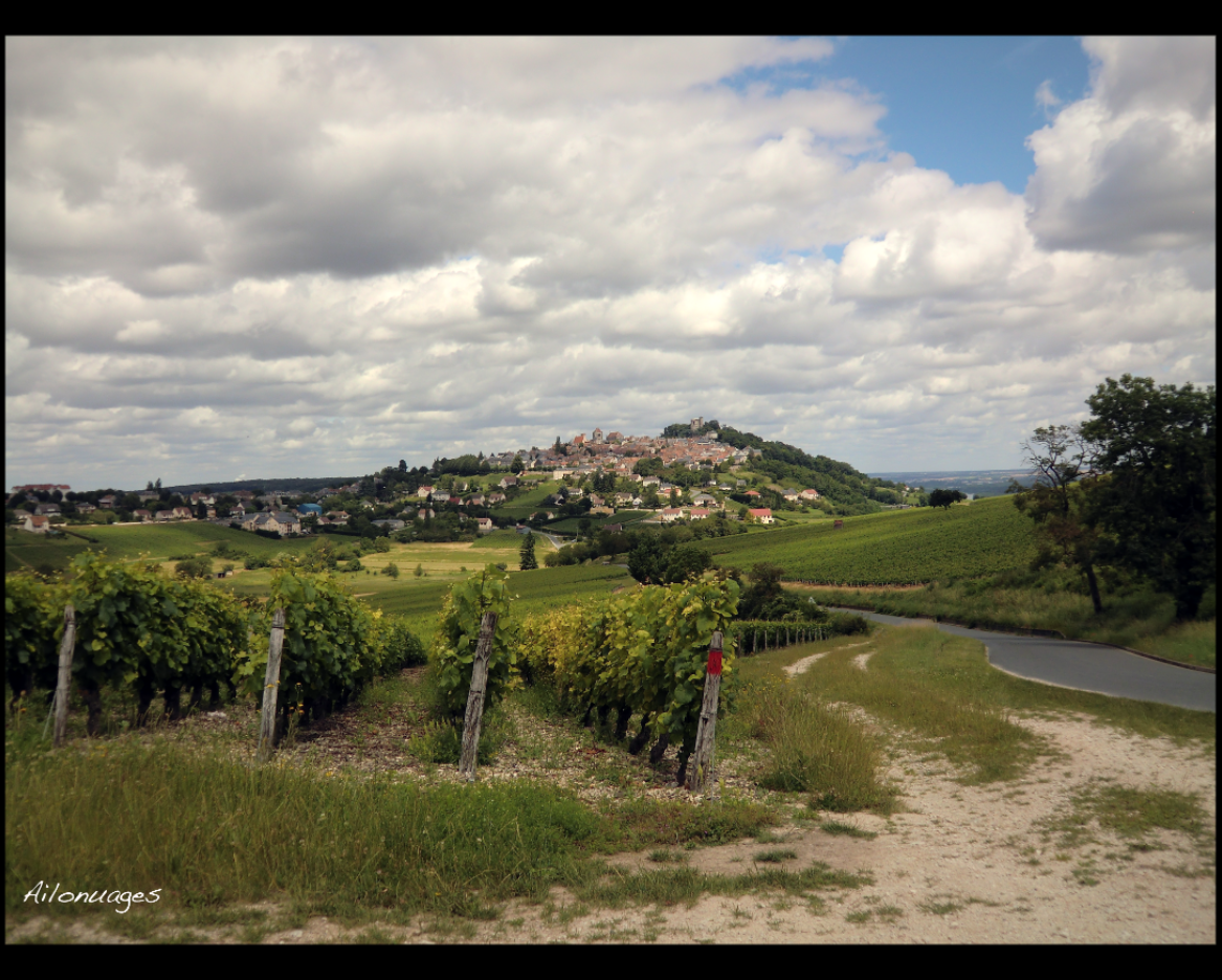Vignes de Sancerre - Domaine Girard Fernand Et Fils