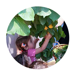  גן מונטסיורי 