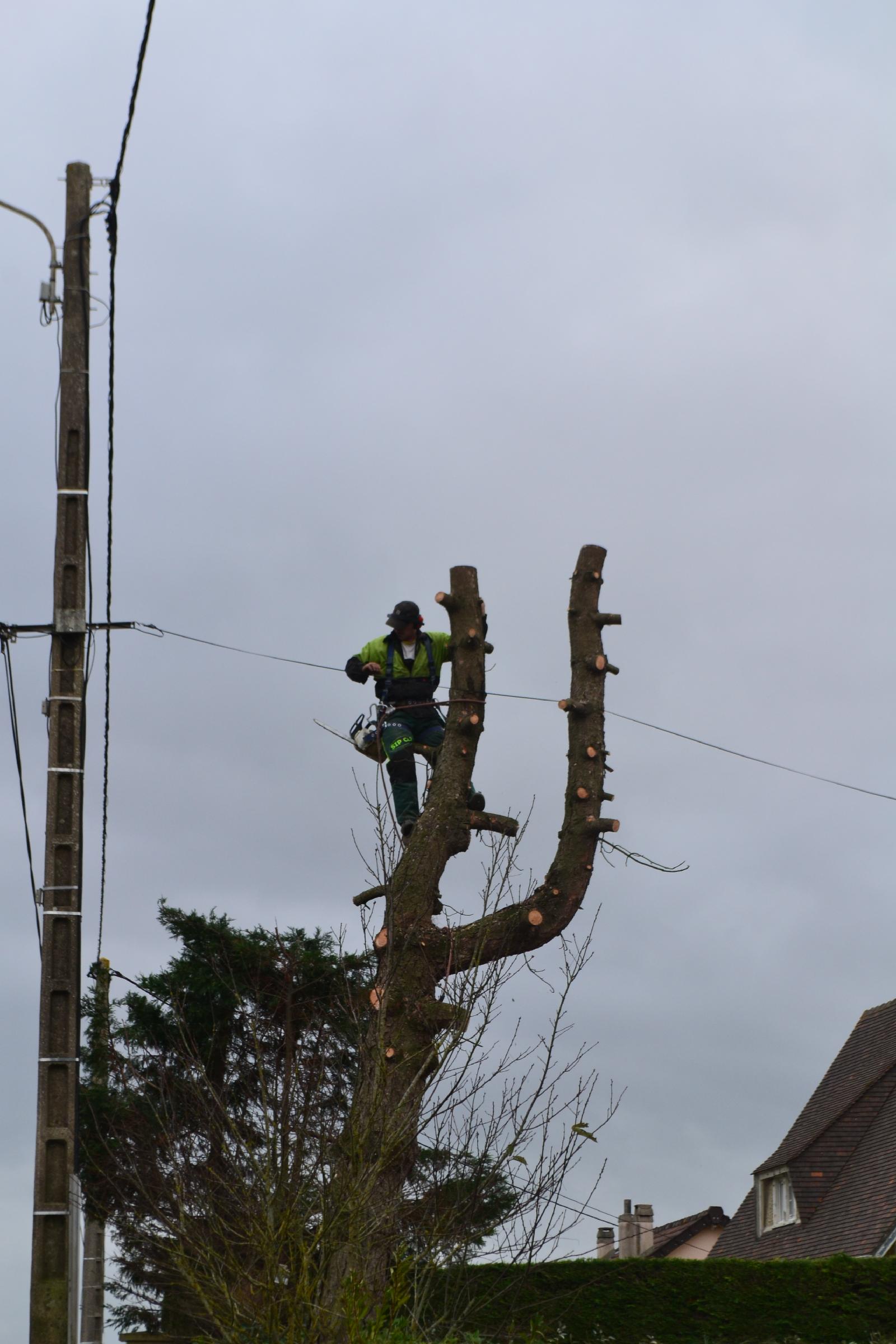 Paysagiste Lessay - Manche