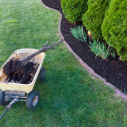 Manutenção de Jardins
