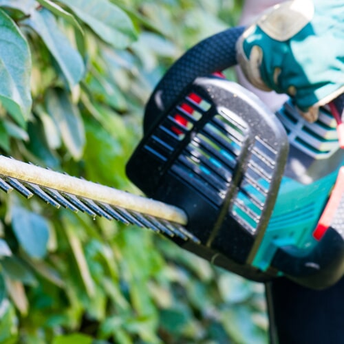 Conservação de Espaços Verdes