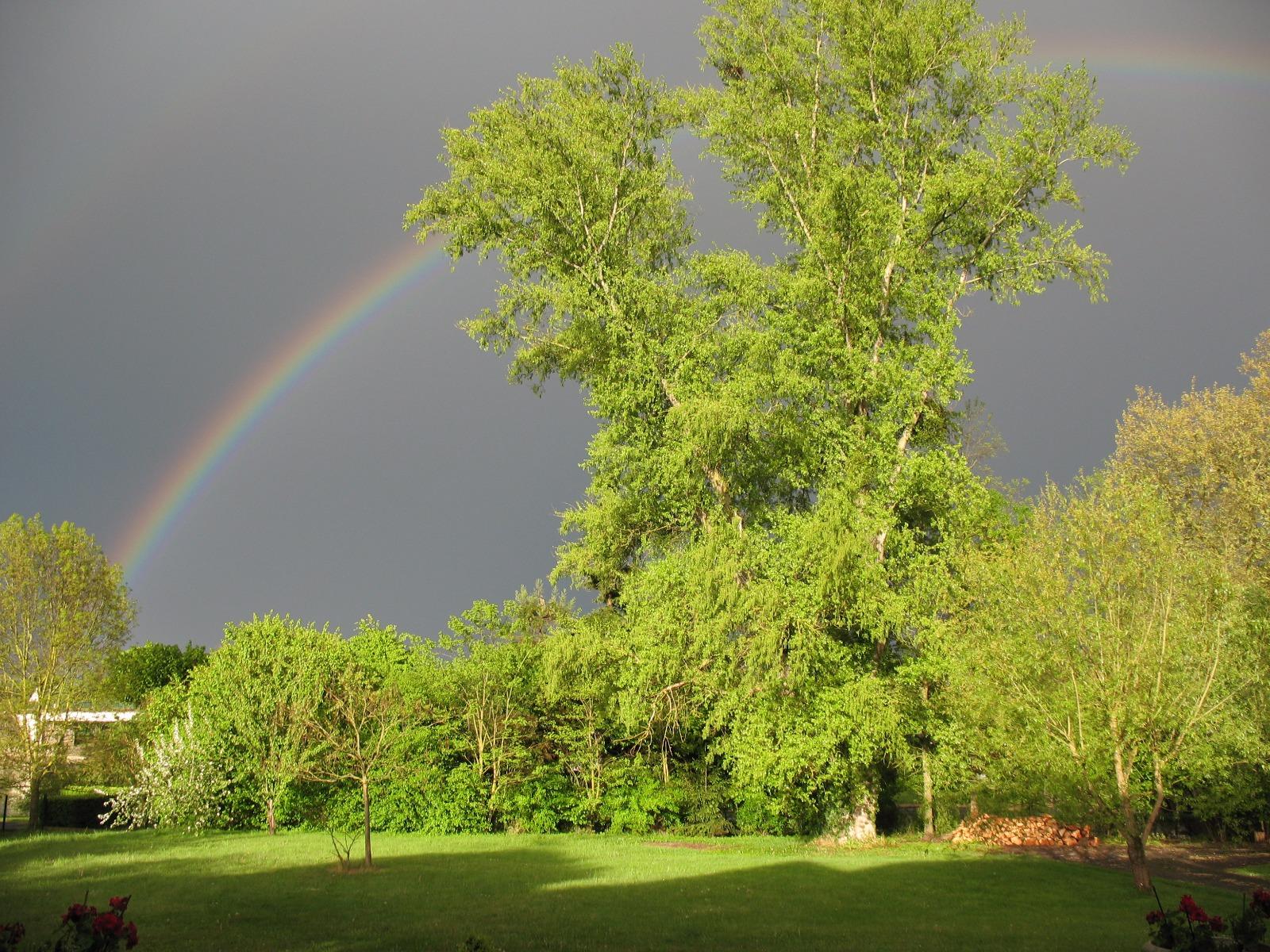 Elagage abattage à Saint-Avertin près de Tours