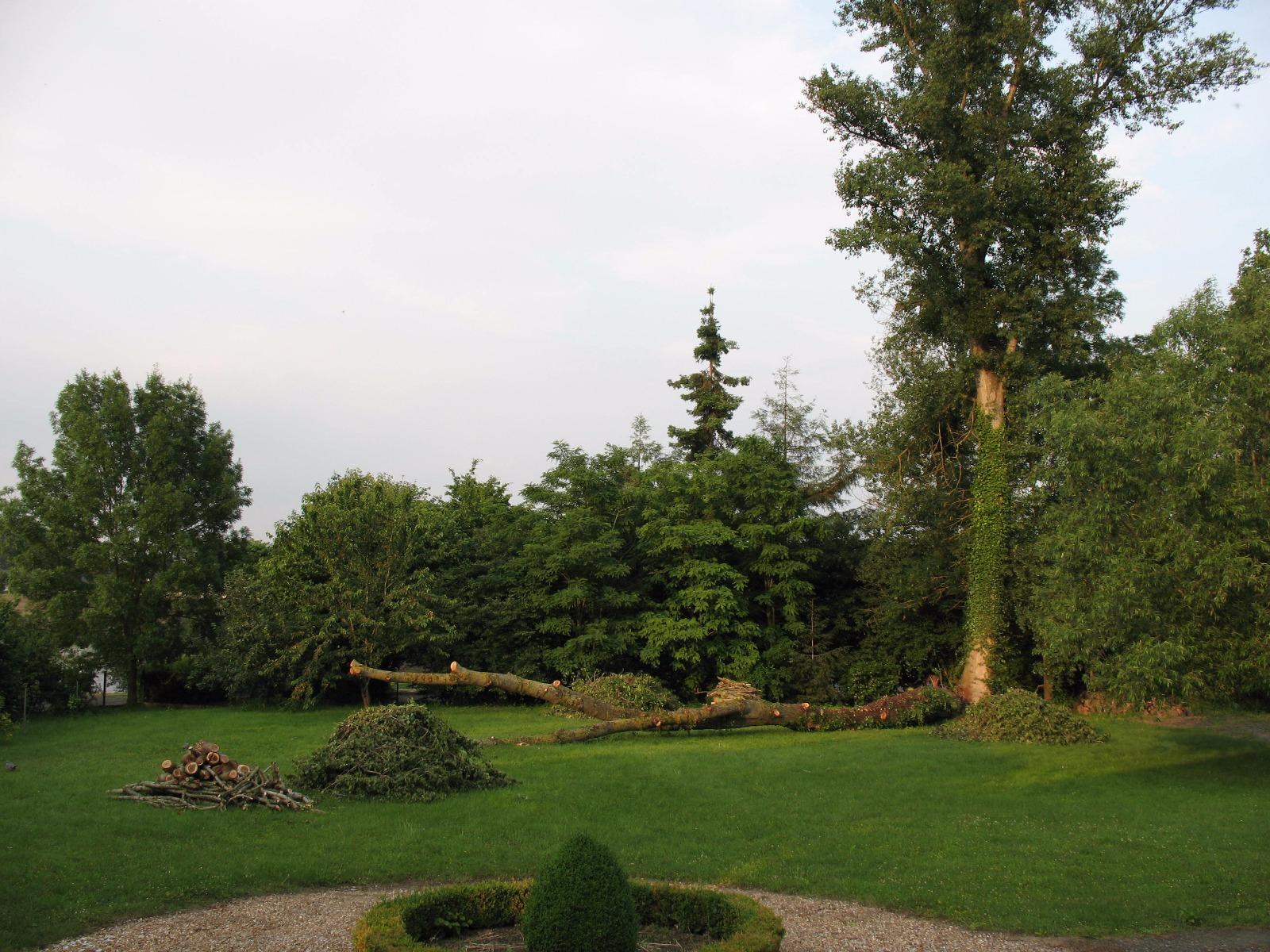 Chantier propre après élagage à Saint-Avertin près de Tours