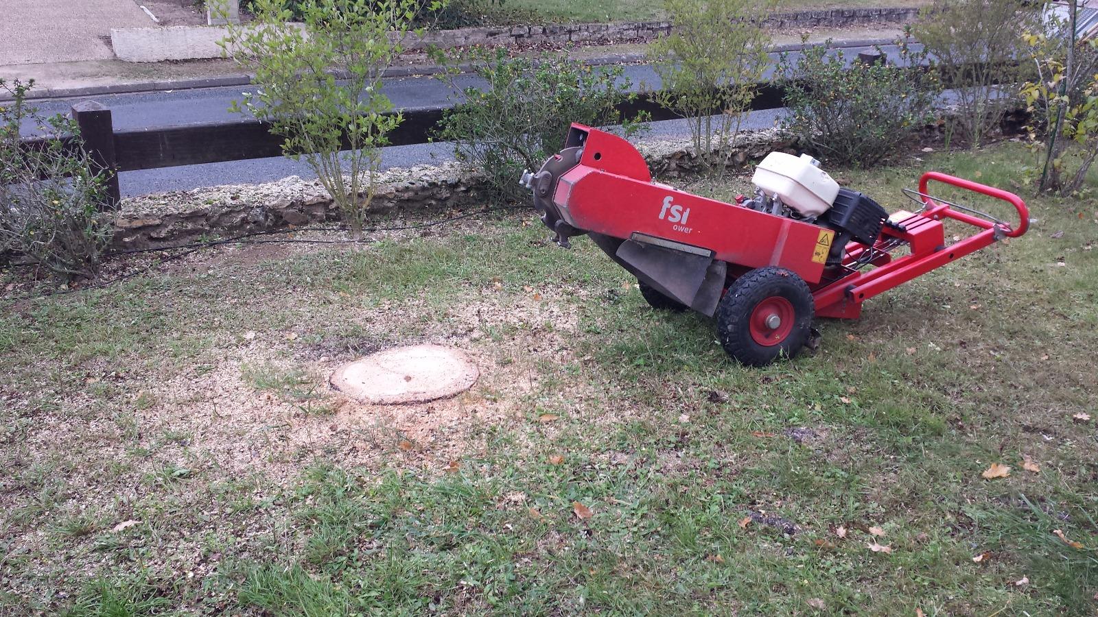 Rognage de souche à Saint-Avertin près de Tours