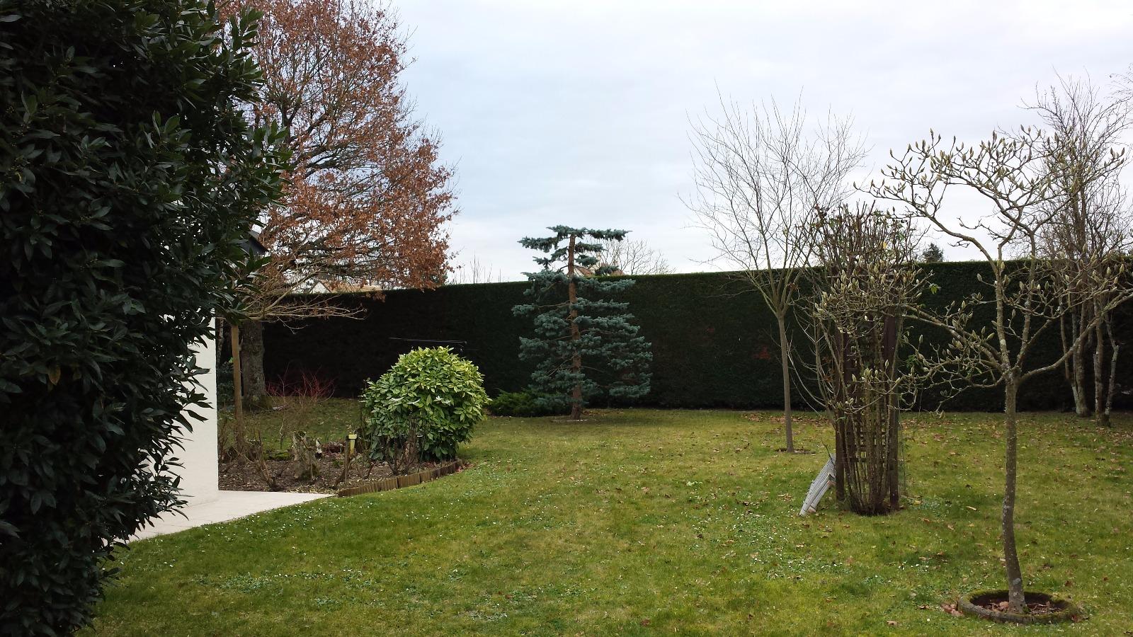 Taille japonaise à Saint-Avertin près de Tours