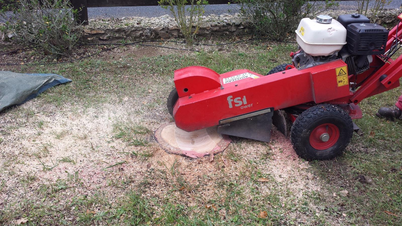 Rognage de souche près de Tours