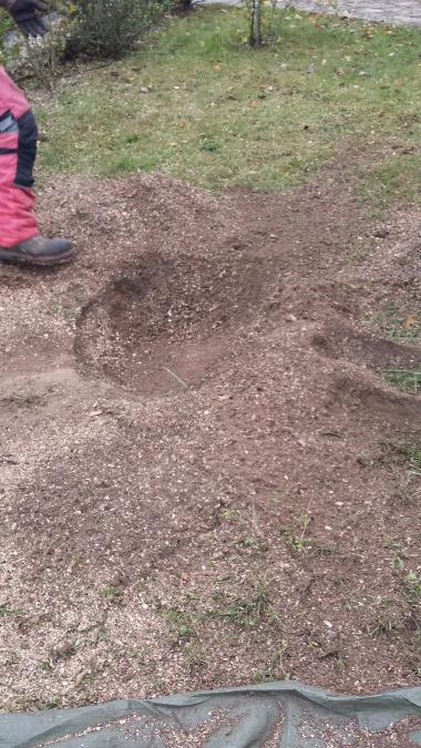 Rocgnage de souche à Saint-Avertin