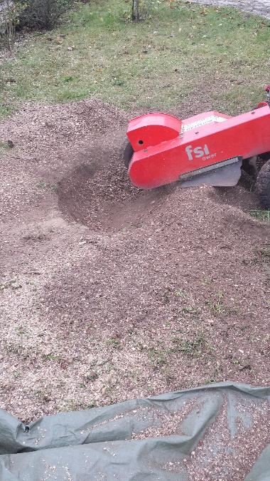 Rognage de souche et de racines à Saint-Avertin près de Tours