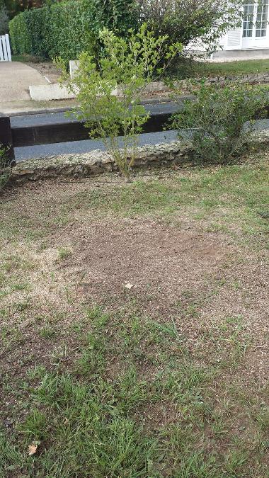 ROGNAGE DE SOUCHE 5 FIN DES TRAVAUX NI VU NI CONNU