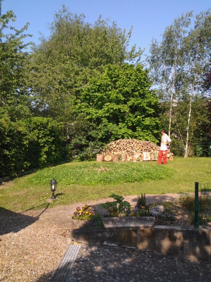 Chantier propore suite à Abattage à Saint-Avertin près de Tours