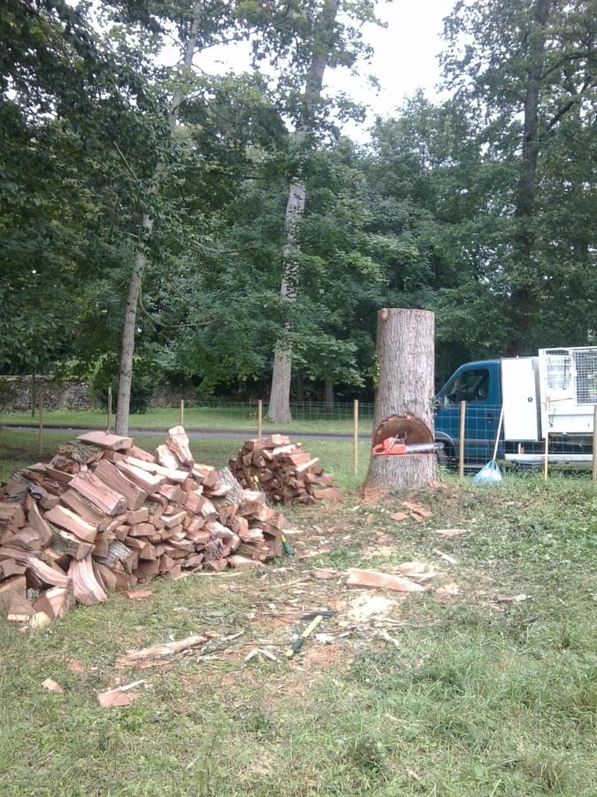 Démontage d'un chêne à Saint-Avertin près de Tours