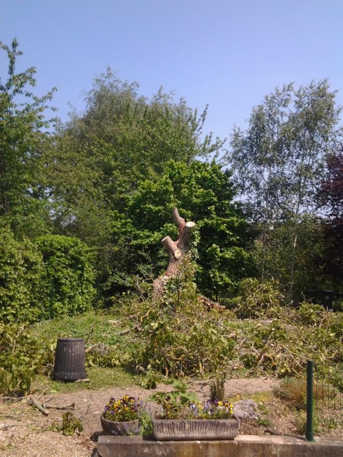 Abattage : chantier en cours à Saint-Avertin près de Tours