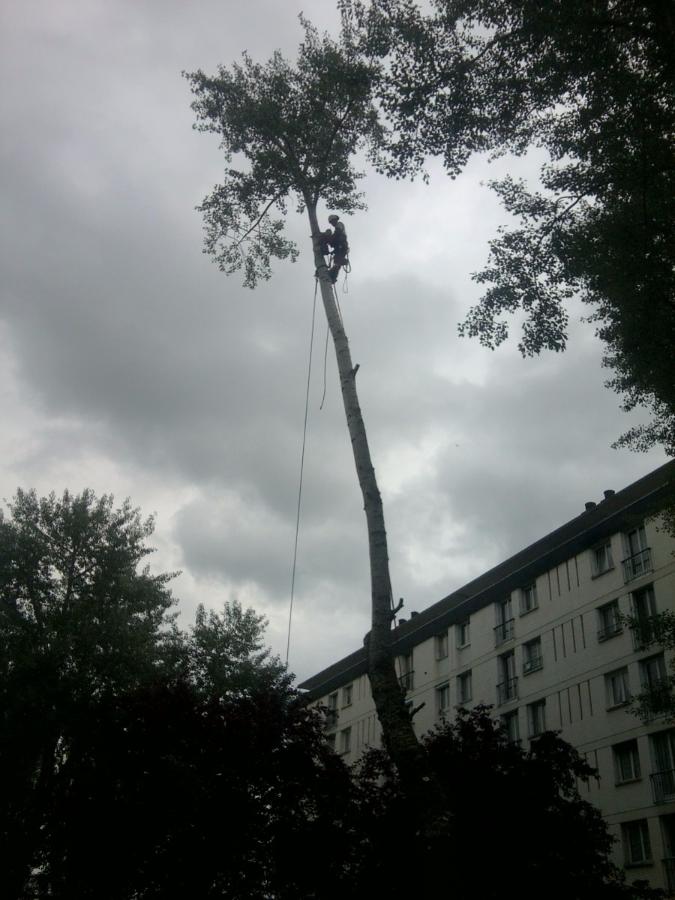 Aattage d'arbre dans une zone résidentielle à Saint-Avertin près de Tours