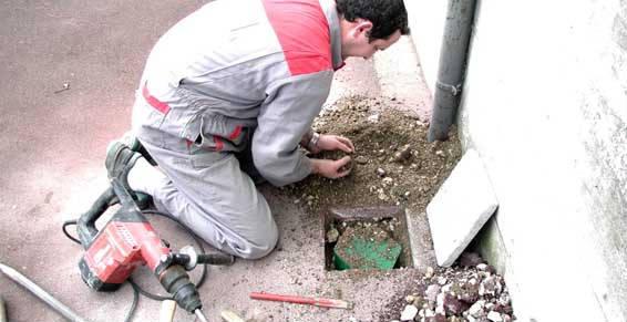 Sans nuisance pour l'habitat: le piège