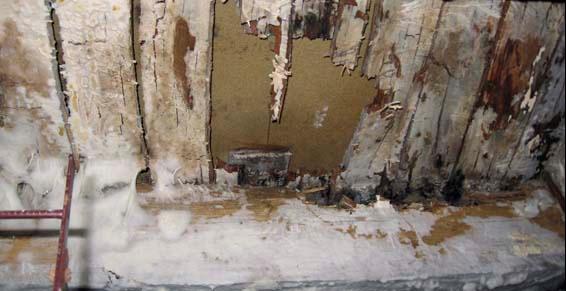 Dégâts causés par les mérules