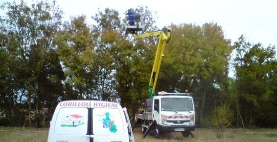 Lorillou - Élimination de nids de frelons