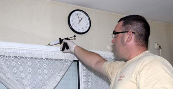 Traitement contre les cafards