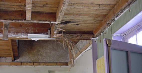 Pour éviter de tels dégâts...