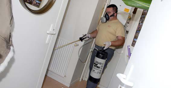 Désinsectisation par fumigation