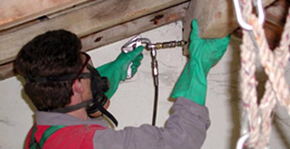 Il faut traiter les bois...