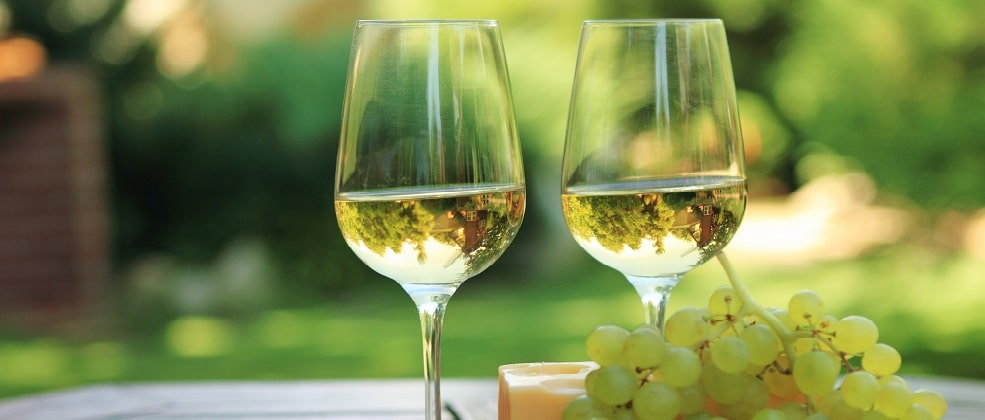 מקמח חיטה, אך ללא גלוטן: הכירו את הפיצה של 