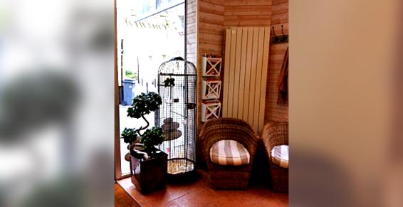 Tours - Les Cuisiniers du Cheveu