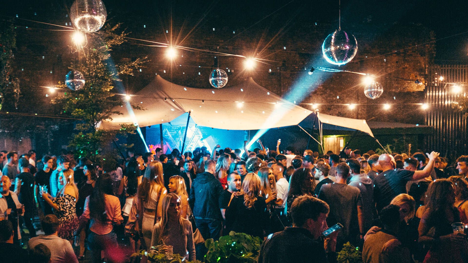 Hen and Stags at Constalations