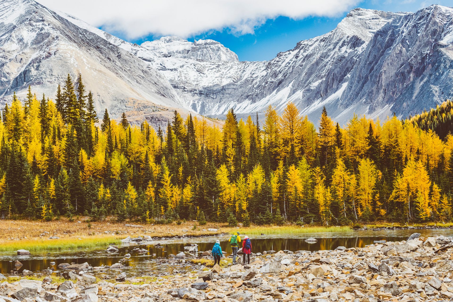 Prestige Travel unique tailormade experiences | Ashdown Travel
