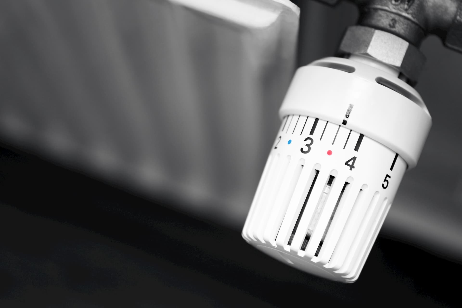 Darichli page banner