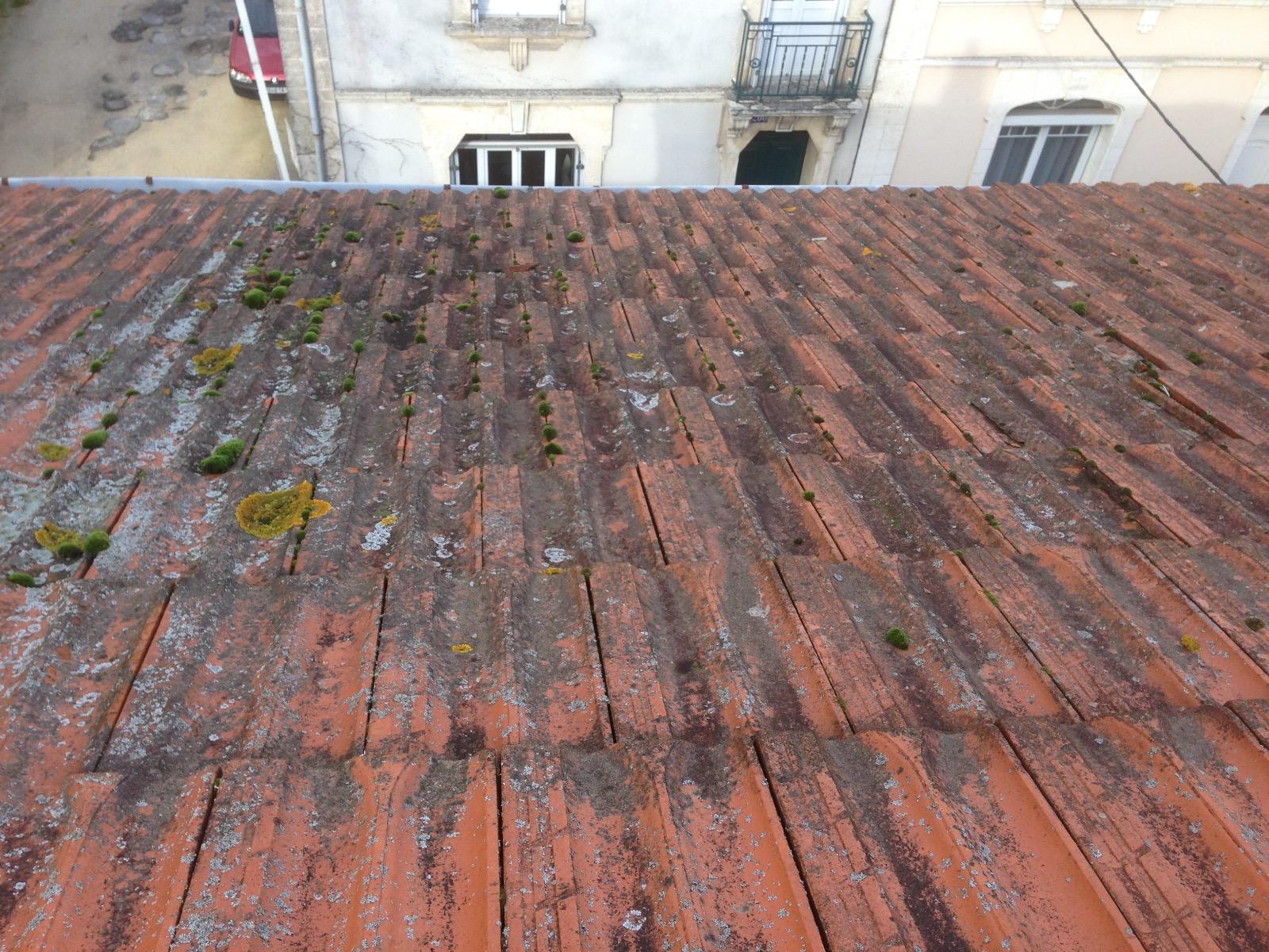 Rénovation de toiture avant