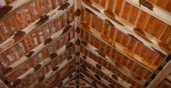 Traitement des bois après