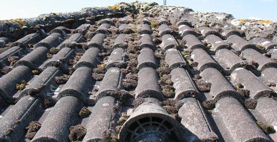 Façade après traitement Mazerolles