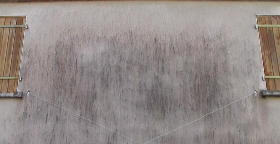 Traitement  de charpente par pulvérisation - Après Haute Vienne